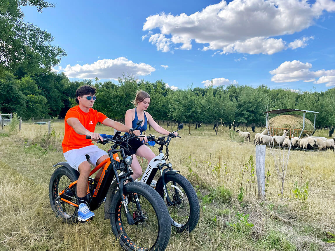 Randonnée en Fat bike électrique dans le 77