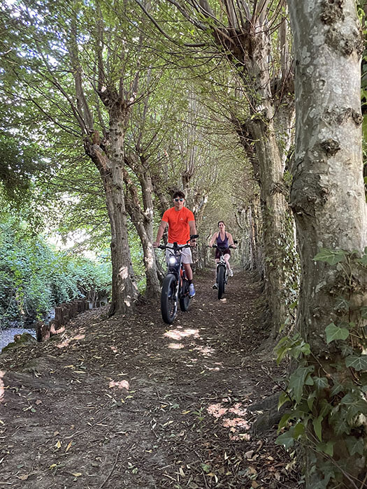 Randonnée en fat bike électrique dans les sous-bois de Seine-et-Marne